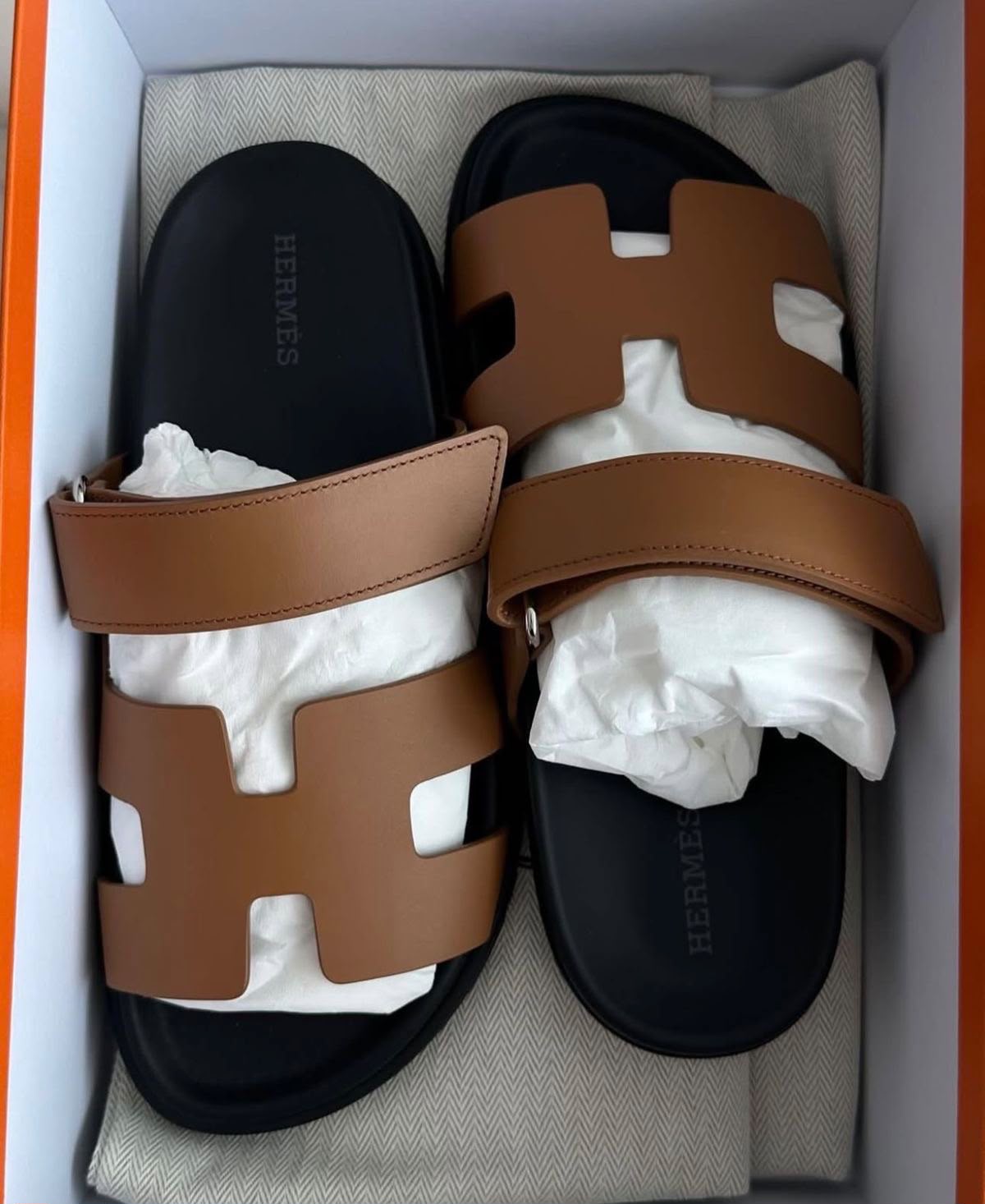 HERMES