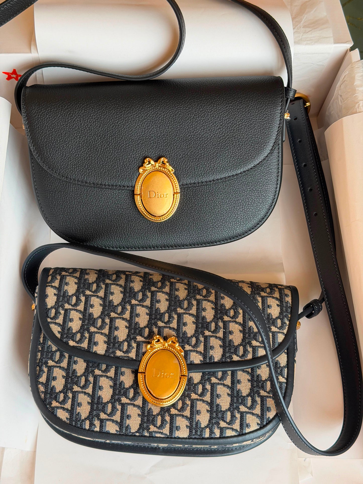 DIOR (2 Color)
