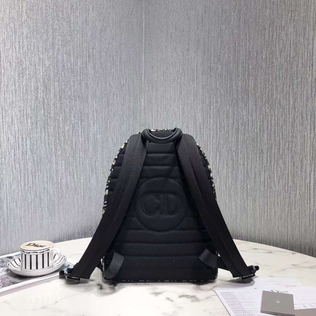 DIOR (Backpack)
