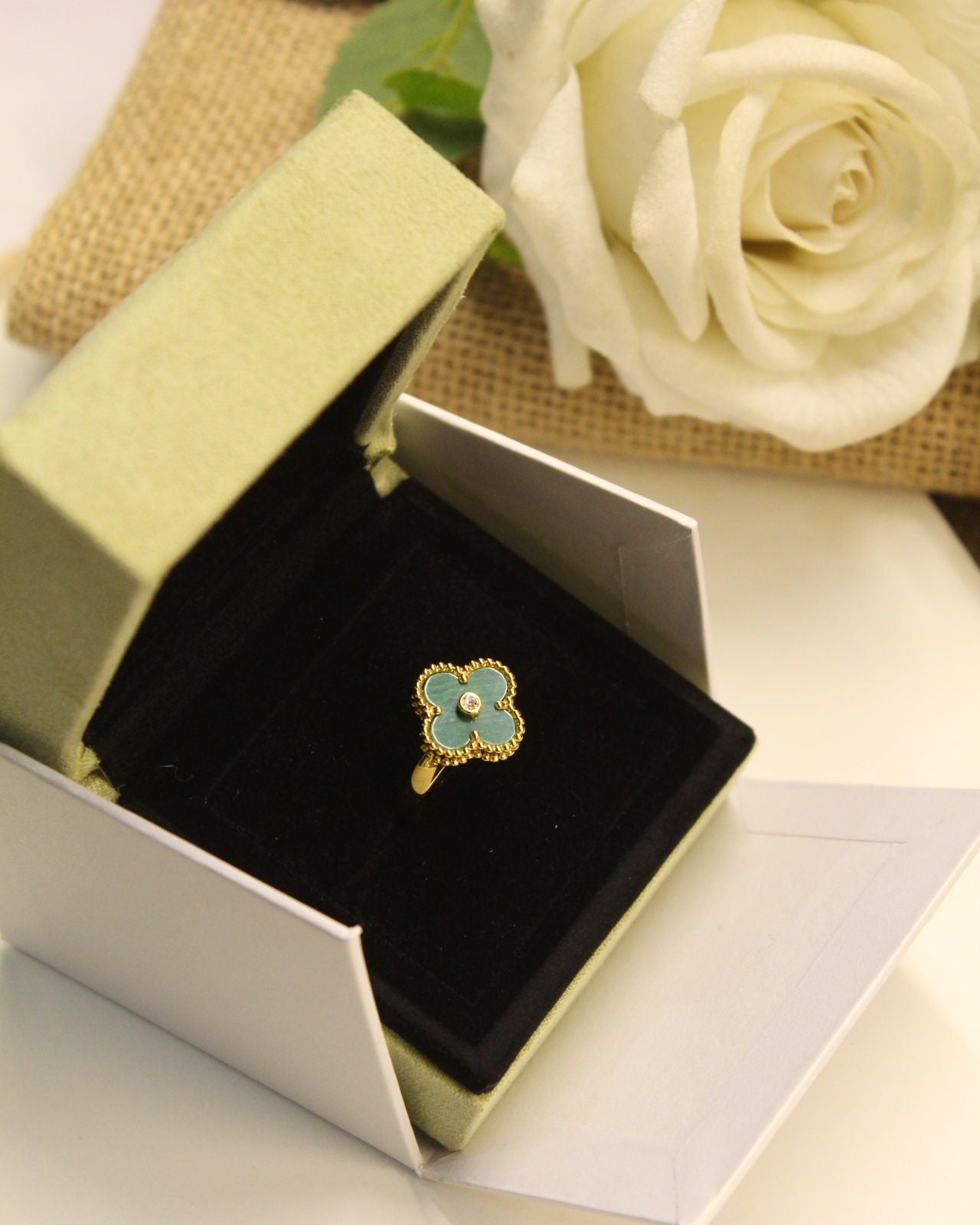 VAN CLEEF (5 Color)